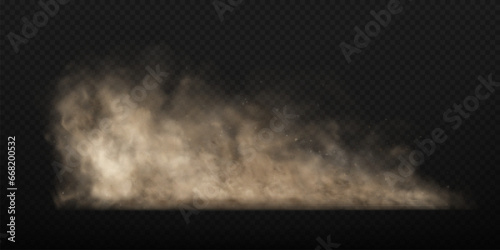 Dust sand cloud with stones and flying dusty particles isolated on transparent background. Dusty cloud or dry sand flying. Realistic vector illustration.