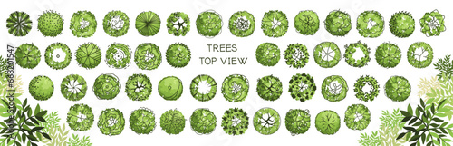Tree for architectural floor plans. Entourage design. Various trees, bushes, and shrubs, top view for the landscape design plan. Vector illustration.
