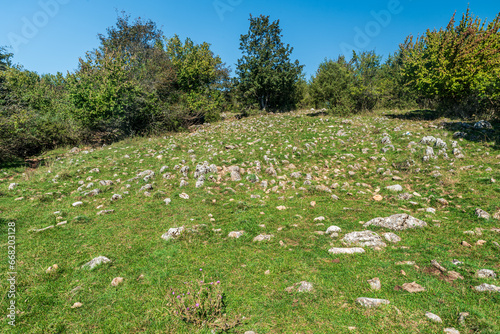 Karst landscape with limestone pavement in Slovensky kras national park in Slovakia