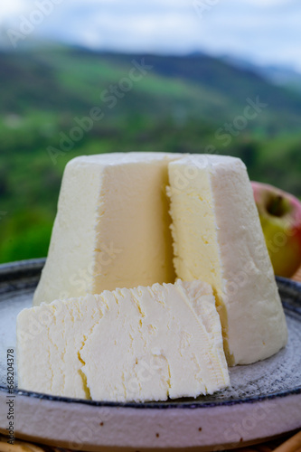 Spanish Afuega'l pitu unpasteurised cow's milk cheese from Asturias served outdoor with apples and view on green slopes of Picos de Europa mountains photo