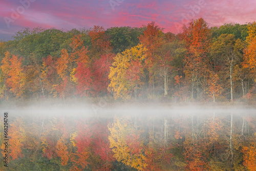 Foggy autumn landscape at dawn of the shoreline of Deep Lake  Yankee Springs State Park  Michigan  USA