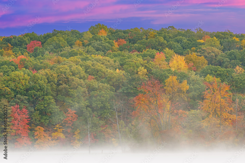 Foggy autumn landscape at dawn of the shoreline of Hall Lake, Yankee Springs State Park, Michigan, USA