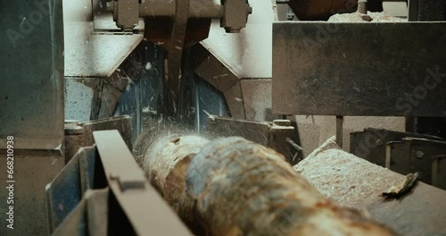 Fault on sawmill during sawing log wood. Pine tree in the lumber factory