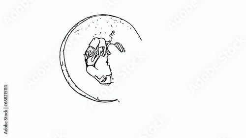 the whiteboard animation video of apple