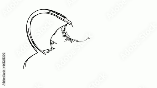 the whiteboard animation video of apple