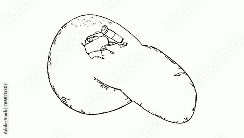 the whiteboard animation video of apple