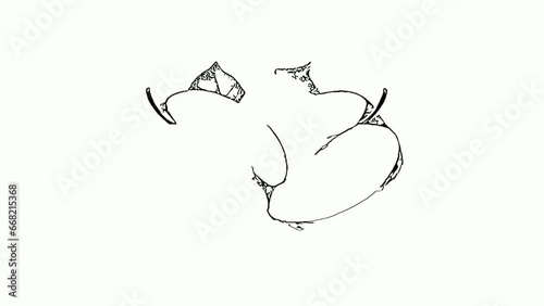 the whiteboard animation video of apple