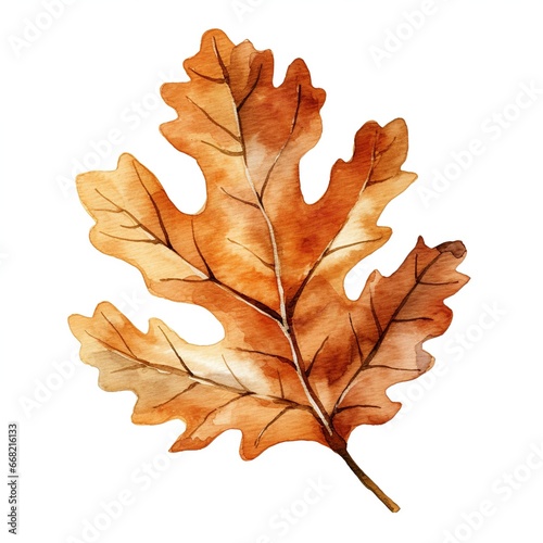 Watercolor illustration of a fall oak leaf. Isolated clipart on white background