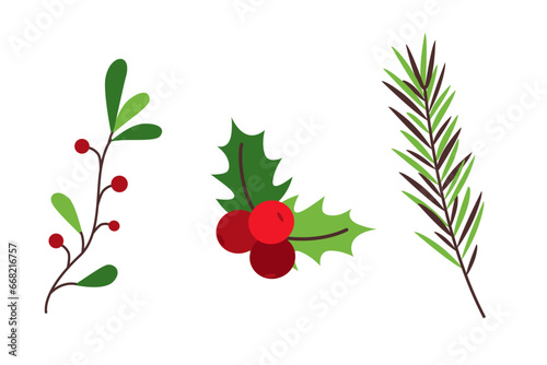 Christmas holly berries and winter plants set. Christmas botanical decoration. Flat vector illustration isolated on white background. 