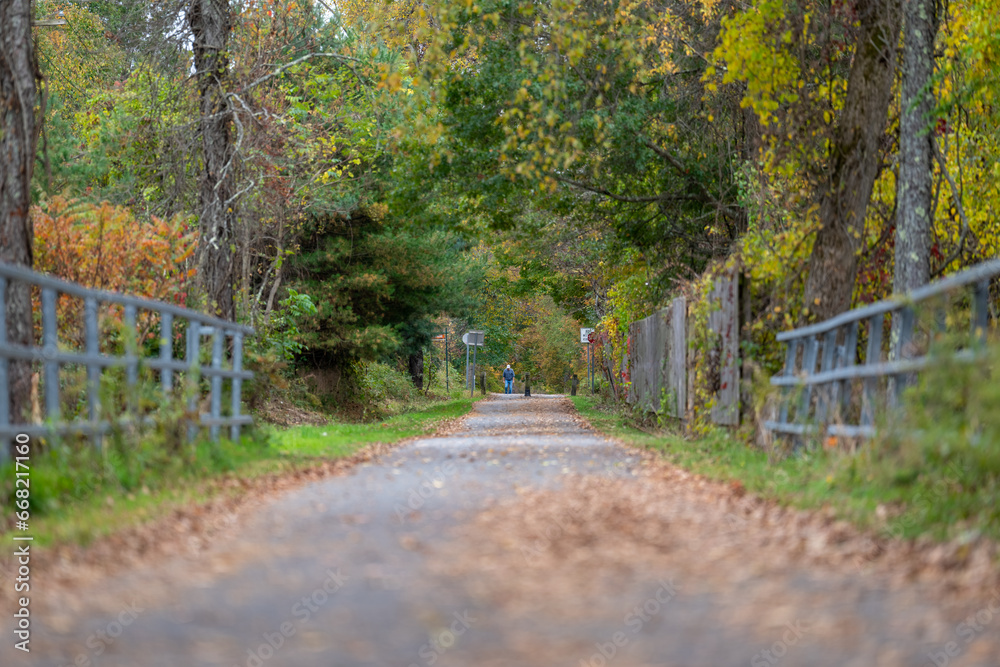 Fall, autumn, image of a long paved trail extending in the distance with orange leaves on the ground. Fall, autumn, image of a long paved trail extending in the distance with orange leaves on the ground.