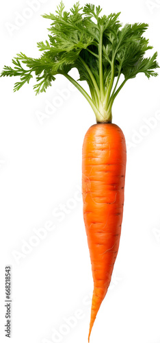 carrot on a transparent background