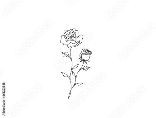 Continuous one line drawing of roses flower. Rose flower outline vector illustration.