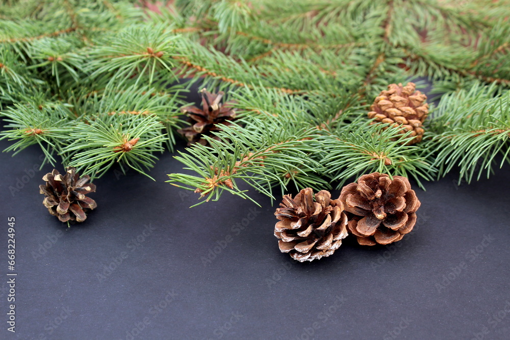 Cones and fir branches lie on a black background. Cones and fir branches lie on a black background.
