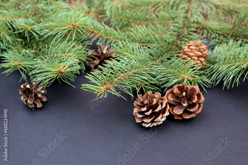  Cones and fir branches lie on a black background.