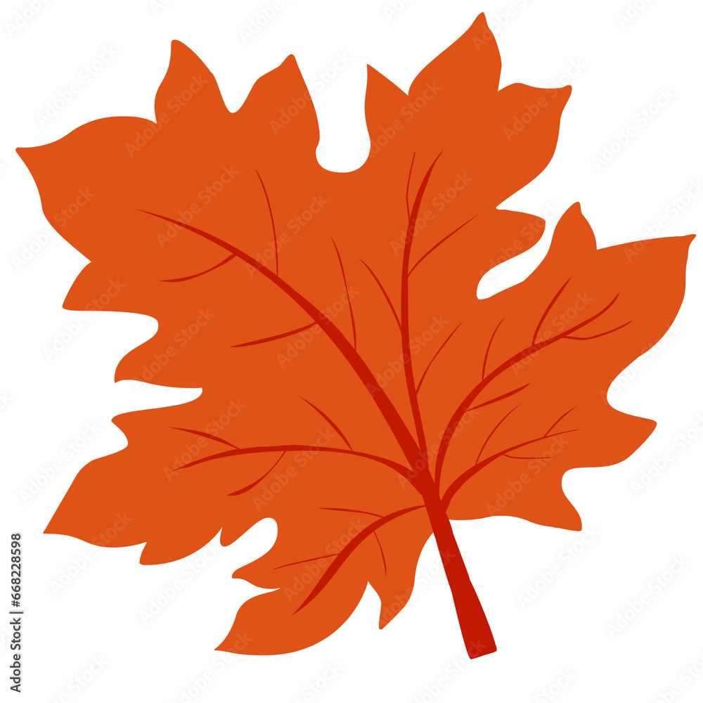 Obraz premium autumn leave color
