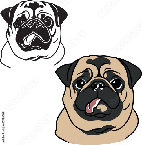 Funny Pug vector