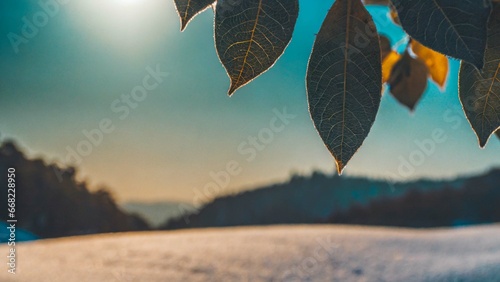 background, winter, falling snow