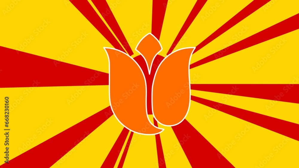 Tulip on the background of animation from moving rays of the sun. Movement symbolizes the dawn of the sun. Large orange symbol increases slightly. Seamless looped 4k animation on yellow background