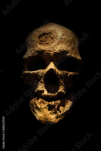 crâne de notre ancêtre photo