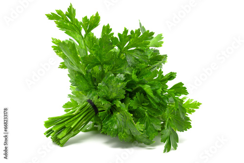 Bunch of fresh parsley isolated on white background
