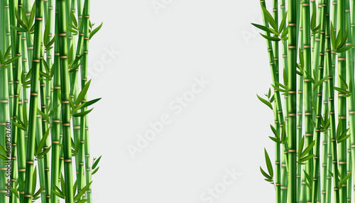 Fototapeta Naklejka Na Ścianę i Meble -  Bamboo background. Realistic banner with place for text. Green trees with leaves. Flower borders, Japan, China. Natural decoration print template, vector tropical forest in Asia.