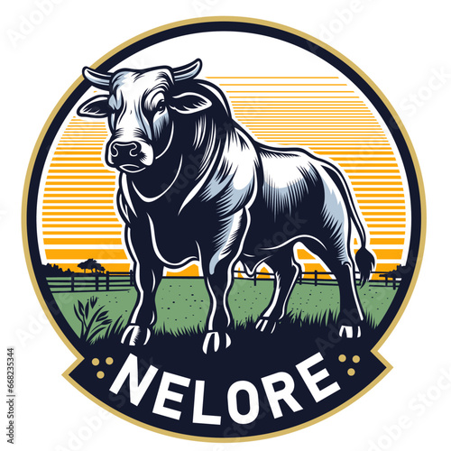 Nelore ox in the farm field photo