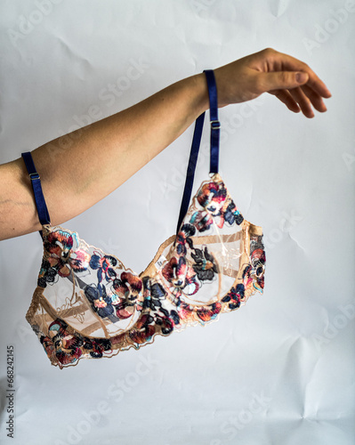 Εκτύπωση καμβά clothes, women's clothes, underwear, women's underwear, bustiers, bikini bottoms