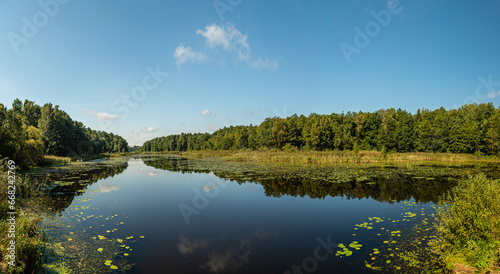 Panorama jeziora i lasu latem