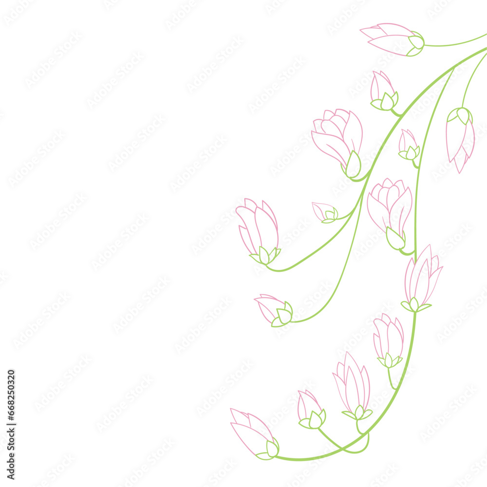 A simple color drawing of a magnolia branch. Freehand drawing of a branch. Vector illustration
