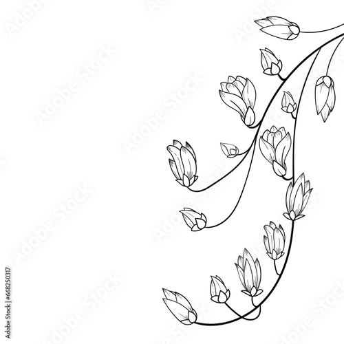 A simple drawing of a magnolia branch. Freehand drawing of a branch. Vector illustration