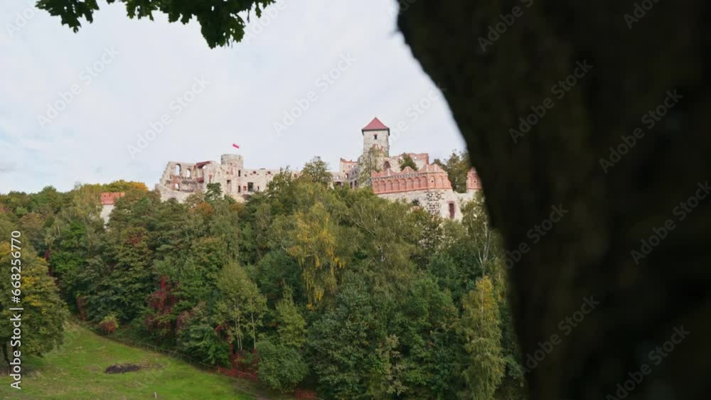 Tenczyn Castle in Rudno on the Trail of the Eagles' Nests. A beautifully situated fortress. A cow in the pasture in the foreground. Kraków-Częstochowa Upland. Poland