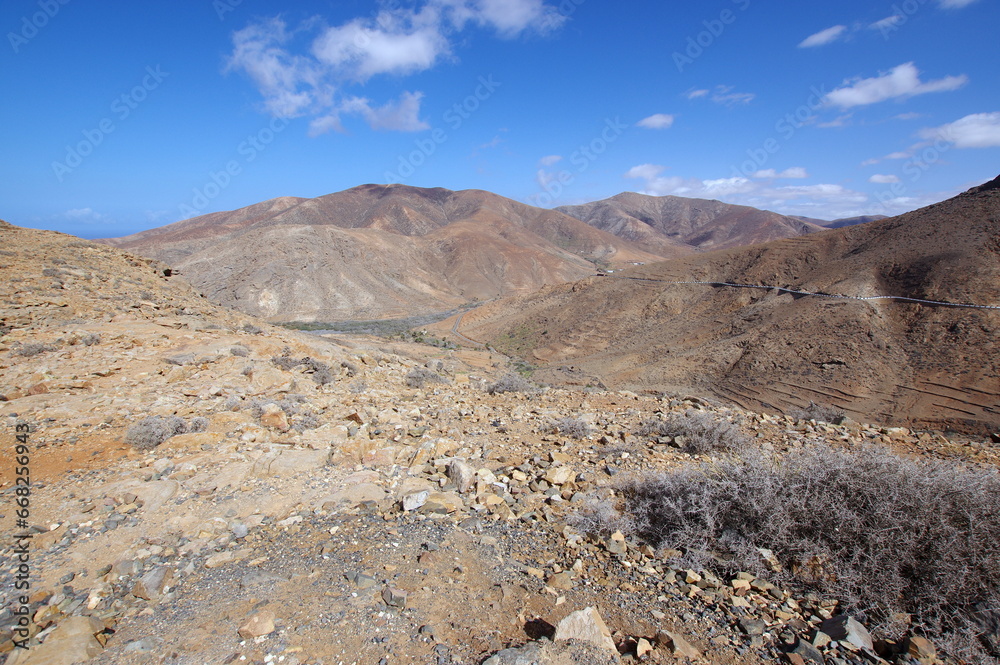 fuerteventura, canary islands, spain, desert, 