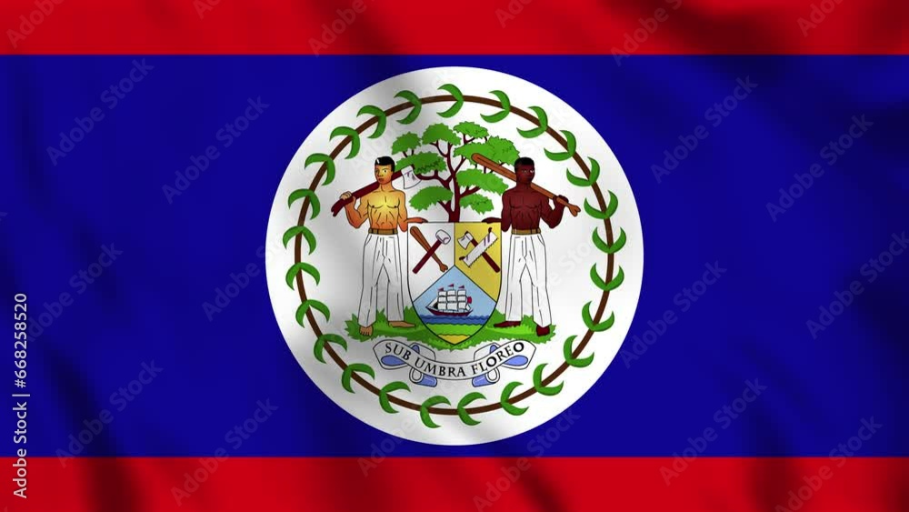 Looped background animation of the waving flag of Belize