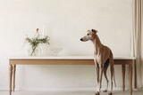 Photo of a graceful Whippet showcasing its slender form against a clean white table. Generative AI