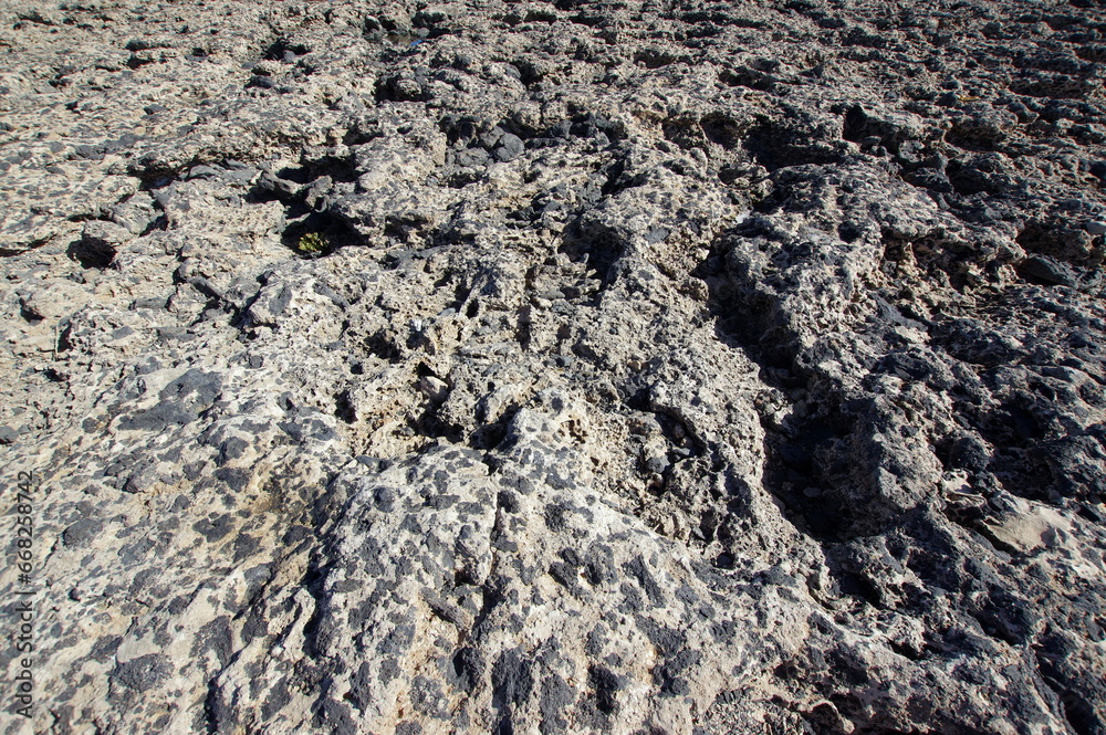 Fuerteventura is one of the Canary Islands, in the Atlantic Ocean, part of the North Africa region, and politically part of Spain. Fuerteventura is one of the Canary Islands, in the Atlantic Ocean, part of the North Africa region, and politically part of Spain.