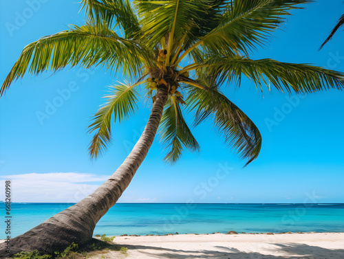 Tropical beach with a leaning palm tree against a clear blue sky and serene ocean. Perfect backdrop for relaxation and paradise getaways.