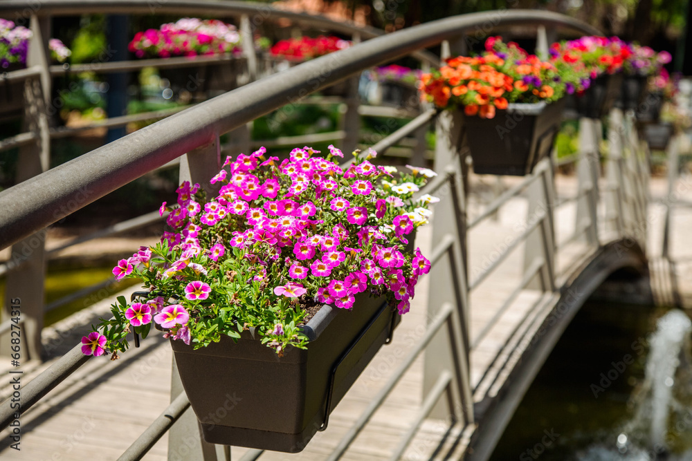 Flowering plants in pots decorate the bridge in the city park.