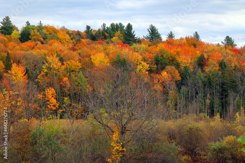 North america fall landscape eastern township Bromont-Shefford Quebec province Canada