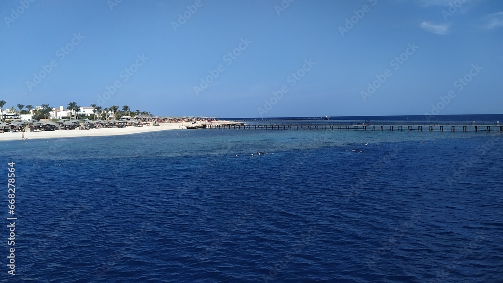 view from the red sea, Coral reef