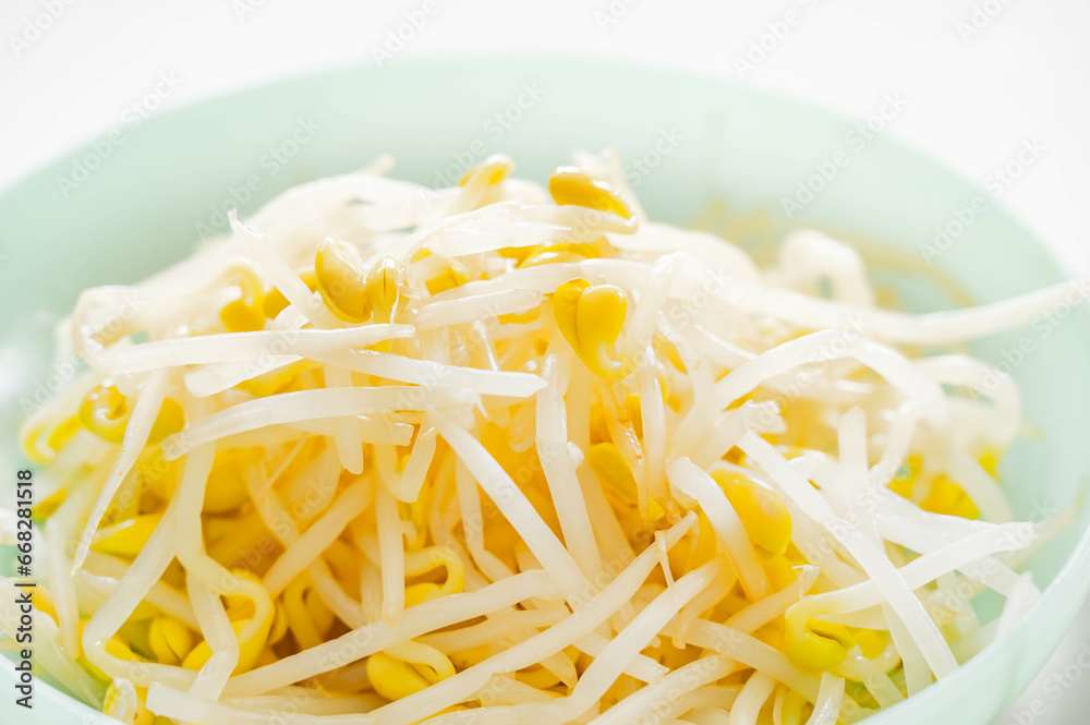 茹でた豆もやし 茹でた豆もやし