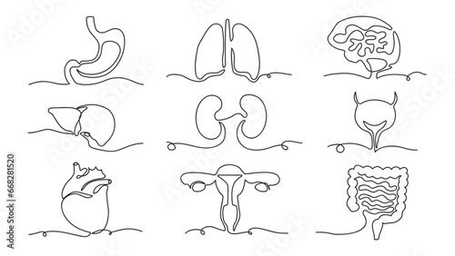 Set of human organs one line continuous drawing. Vector illustration