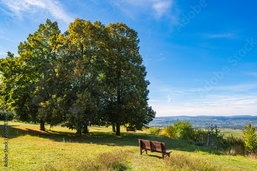 Fototapeta Naklejka Na Ścianę i Meble -  Resting bench with a view of the Rhineland-Palatinate wine region from Laurenziberg - Germany in autumn