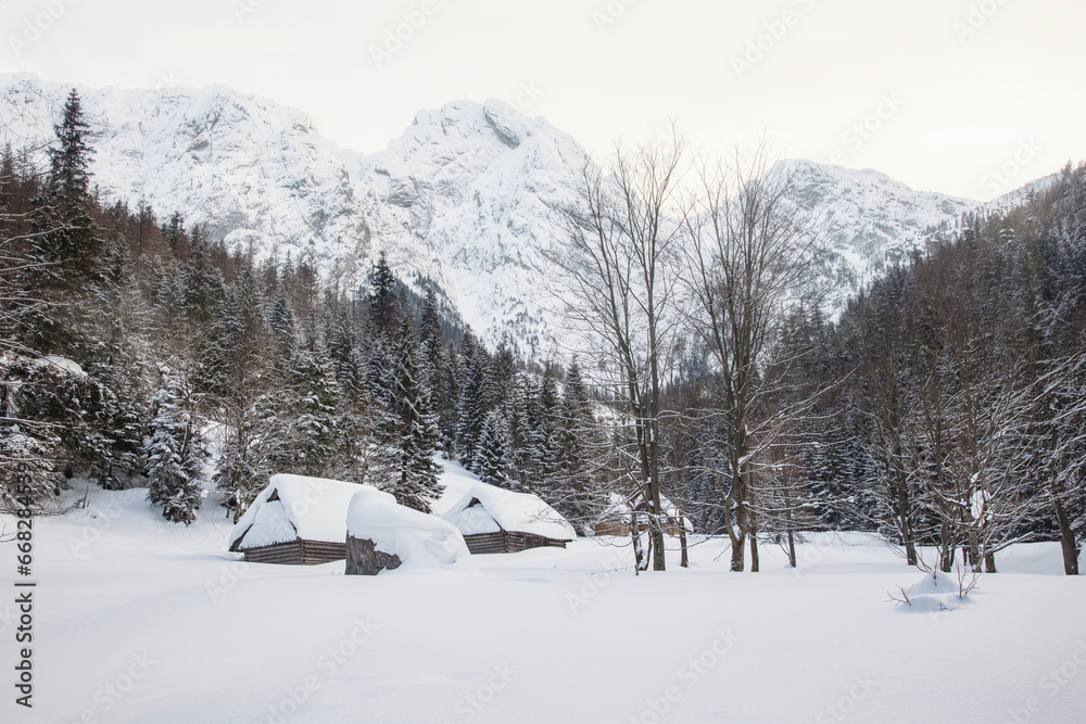 Snow Picturesque Scene in Winter