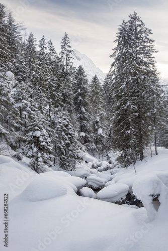 Snow Picturesque Scene in Winter © mstudio