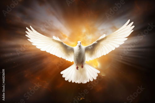 Graceful Celestial Dove in Heavenly Radiance