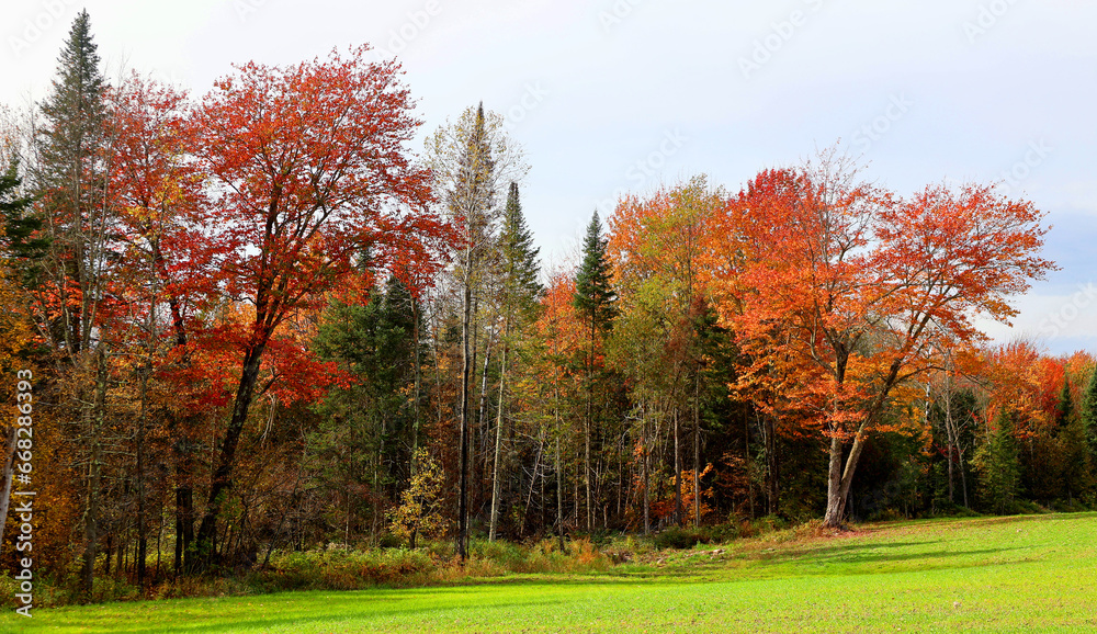 North america fall landscape eastern township Bromont-Shefford Quebec province Canada North america fall landscape eastern township Bromont-Shefford Quebec province Canada