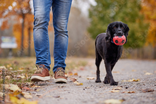 A man plays ball with a dog in an autumn park