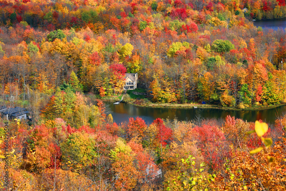 Obraz premium North america fall landscape eastern township Bromont-Shefford Quebec province Canada