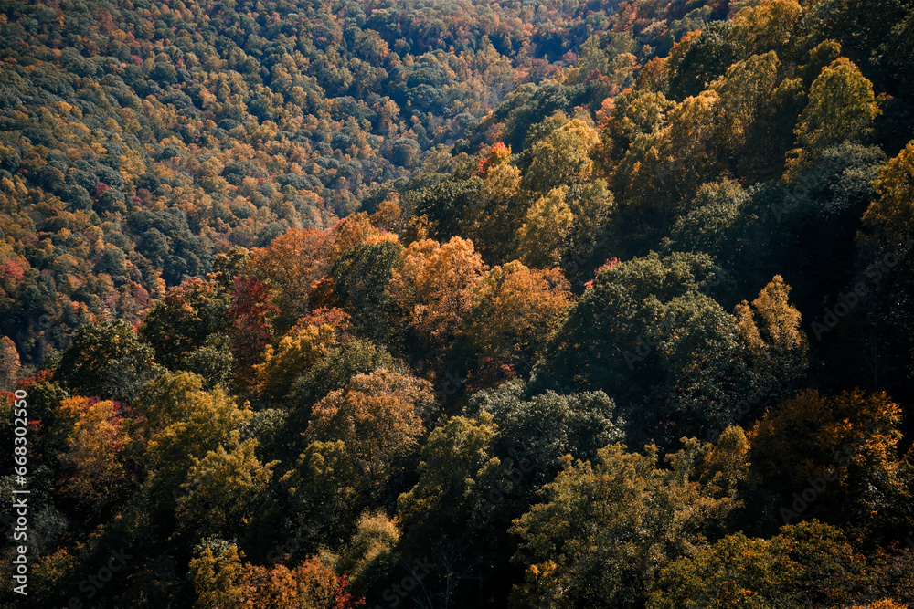 autumn in the mountains