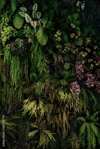 Fototapeta Naklejka Na Ścianę i Meble -  Herb wall, plant wall, natural green wallpaper and background. nature wall. Nature background of green forest